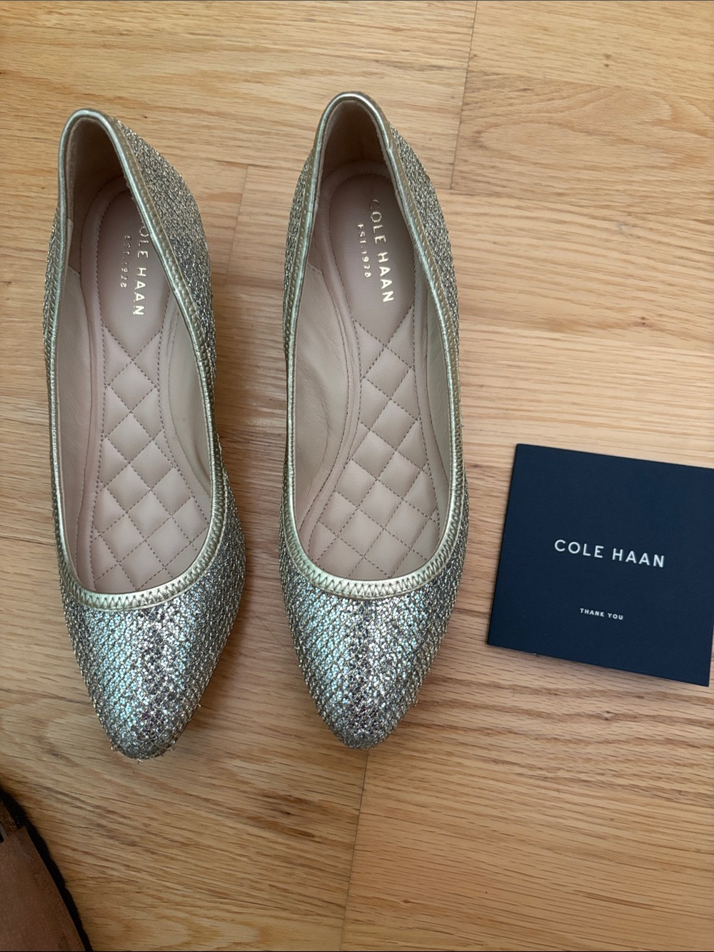 Cole Haan Metallic silver with muted gold wedge heel